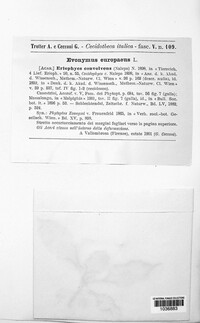 Image Associated With the Occurence